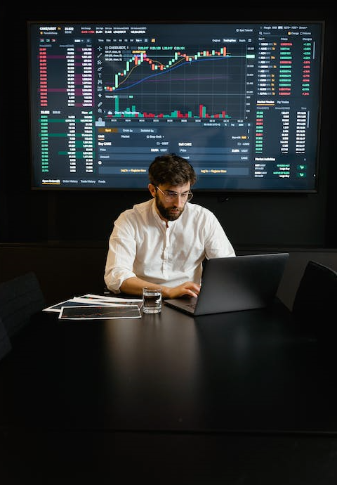 a man monitors the bitcoin rate on a computer, shows a presentation