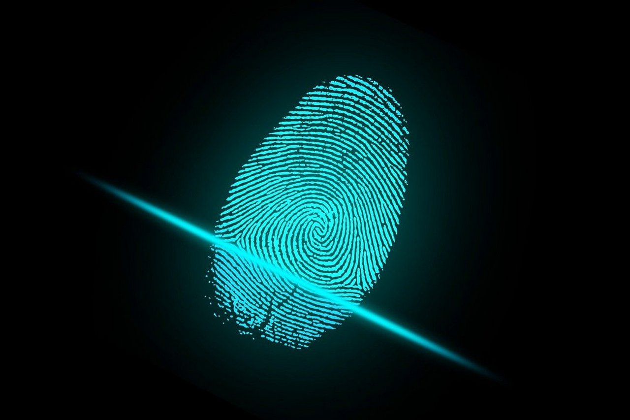 identification system